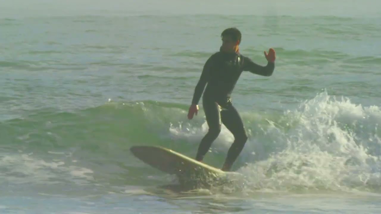 WAVE FORMS featuring Zach Moses
