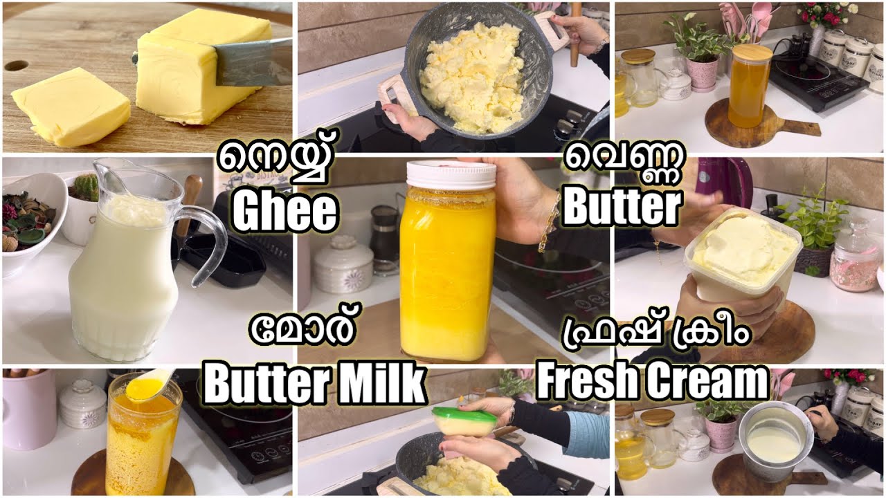 നെയ്യ് വെണ്ണ മോര് തൈര് ഫ്രഷ് ക്രീം എളുപ്പം തയ്യാറാക്കാം|How to make ghee|Homemade butter ghee recipe