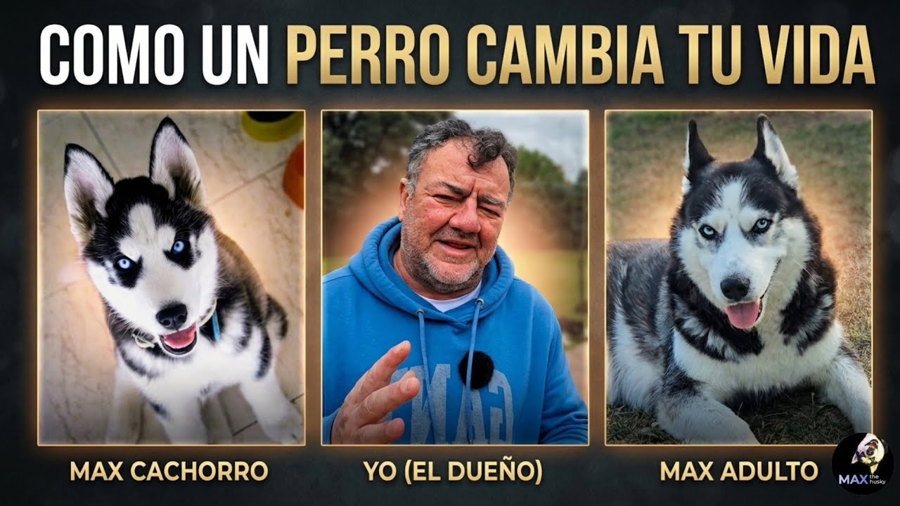  ¿PUEDE UN PERRO CAMBIARTE LA VIDA? 🐾 Mi HISTORIA con MIS HUSKIES