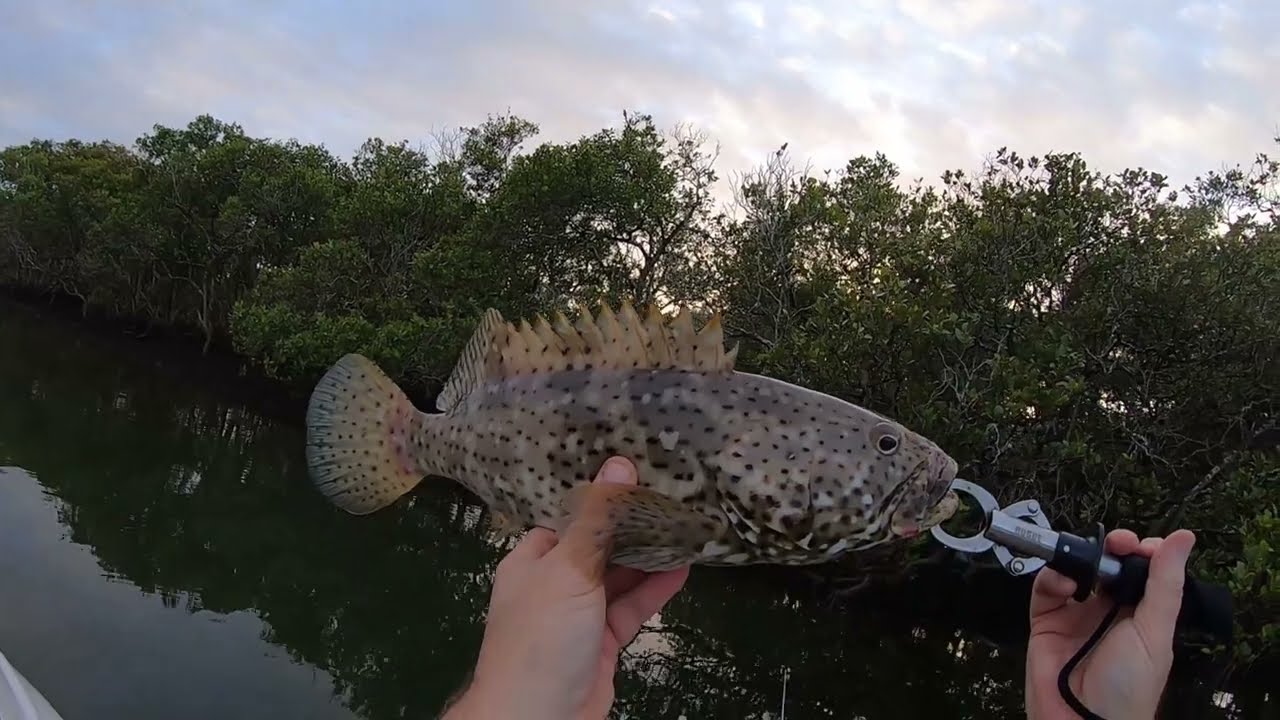 Mid North Coast fishing ,Kayak fishing Urunga