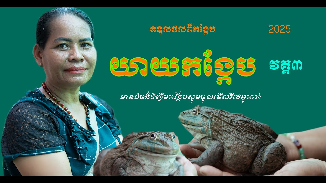 ការចិញ្ចឹមកង្កែប ក្នុងឆ្នាំ២០២៥នេះ កាក់កបណាស់ ចូលដល់តោន