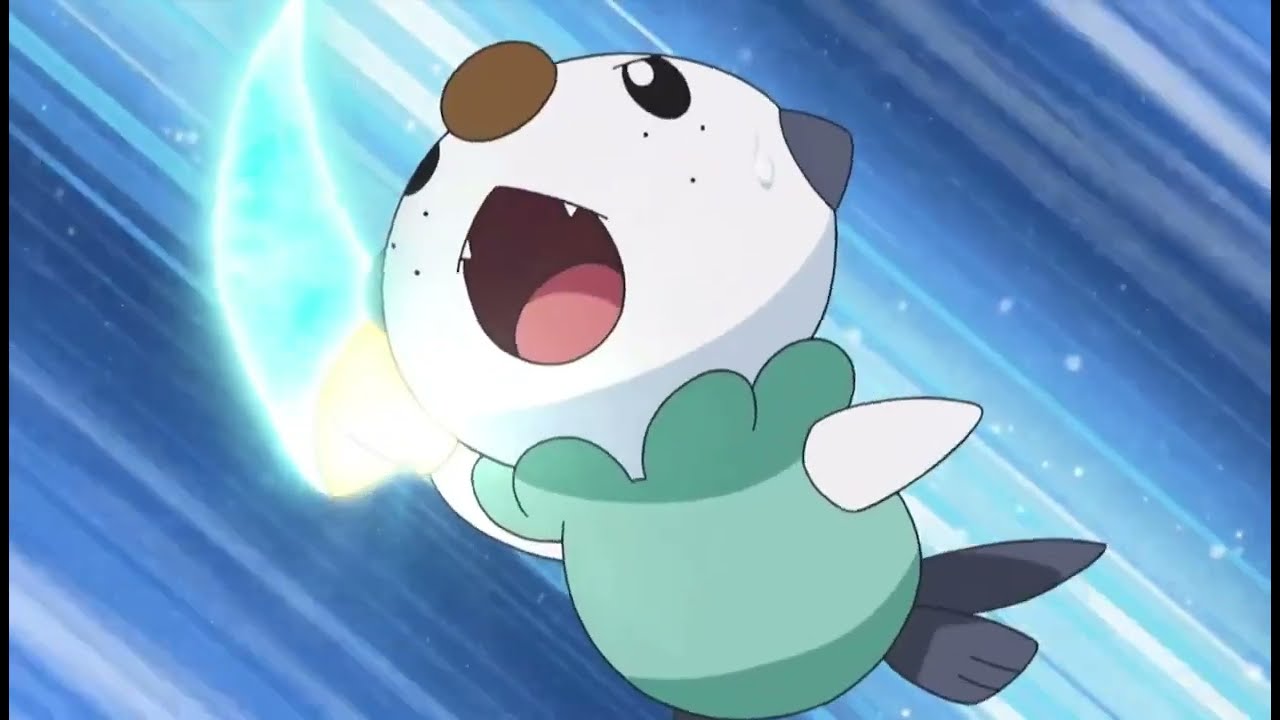 Pokemon: Oshawott vs Timbur