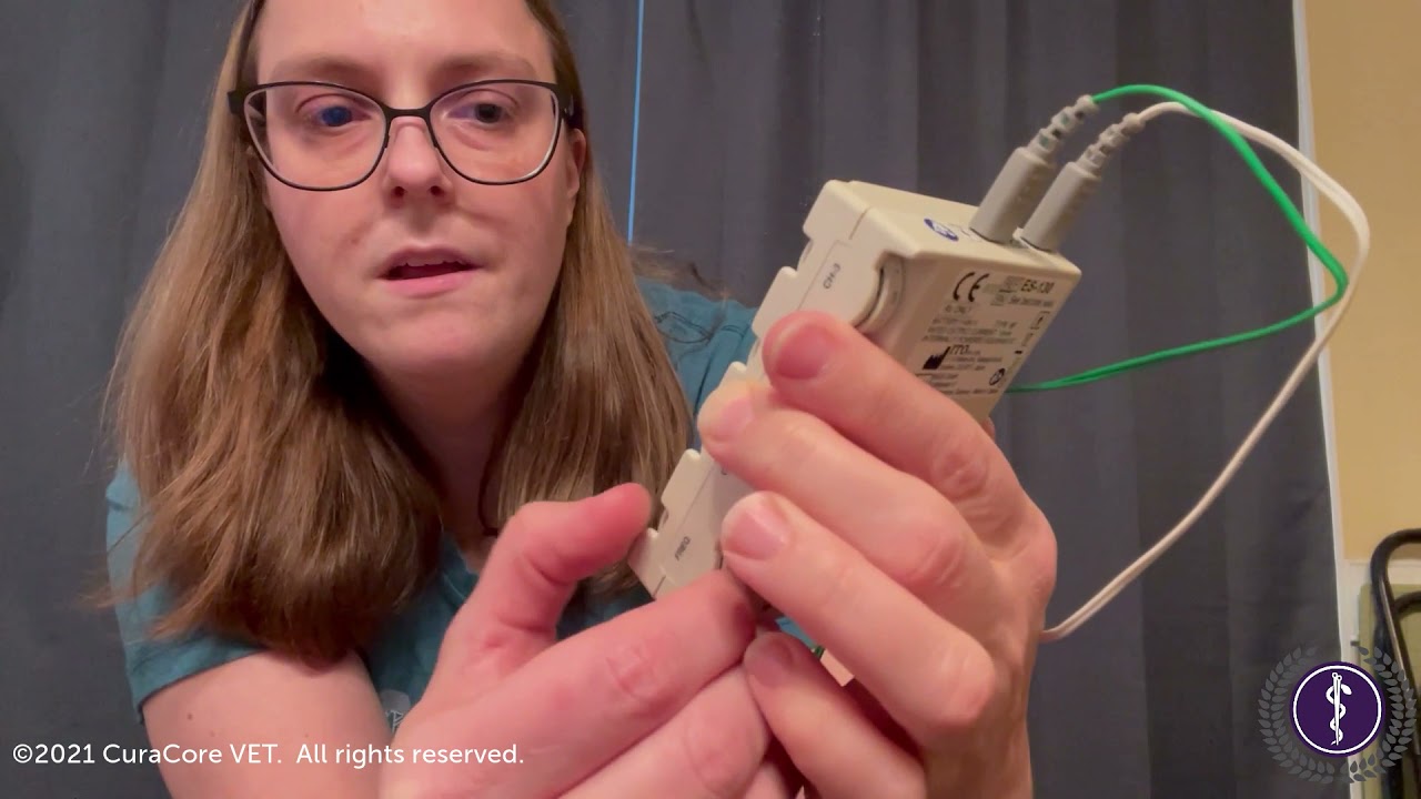 Dr. Cat Markijohn, eMAV Grad, Discusses the Use of the Ito ES-130 Electroacupuncture Unit.