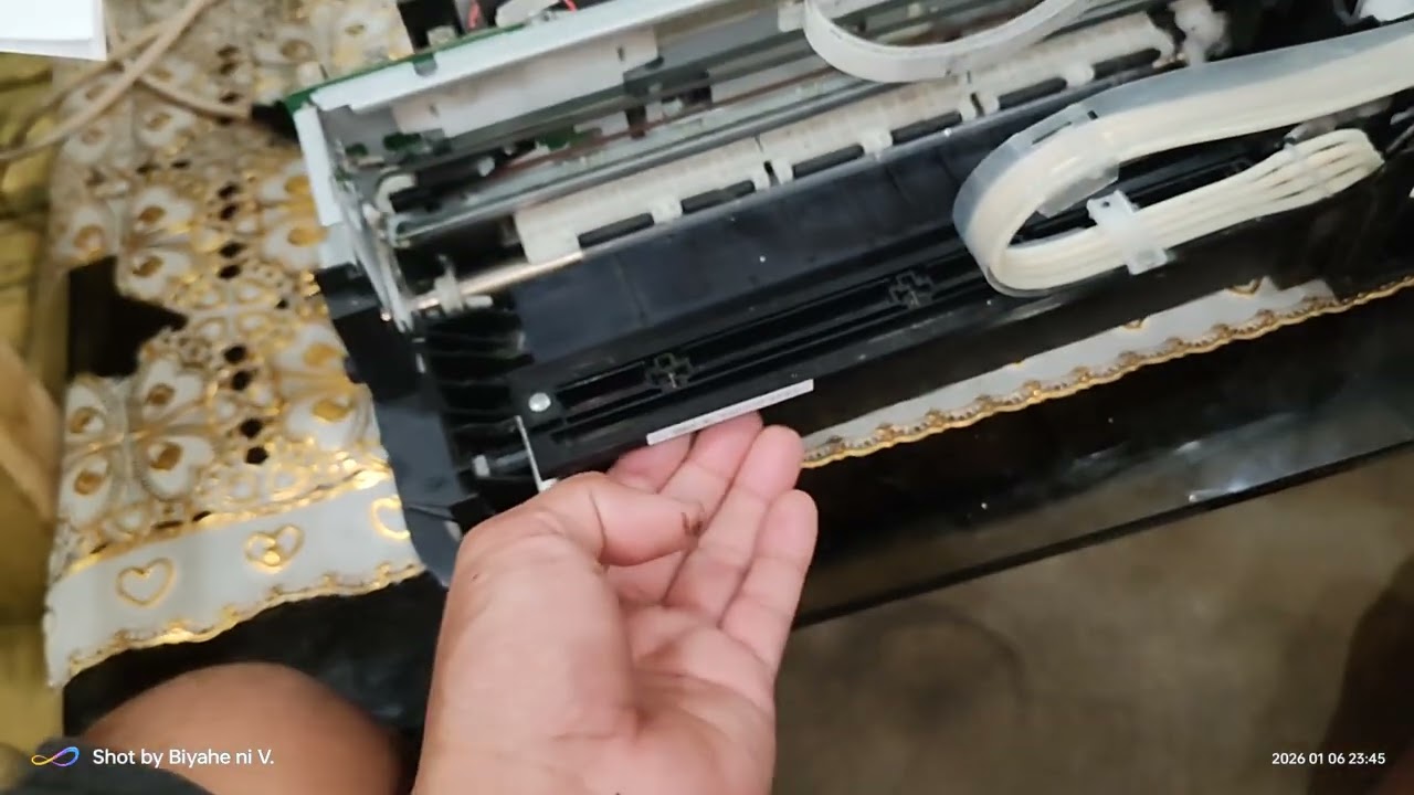 Epson L121 issue Explains Full Tips For All L Series.
