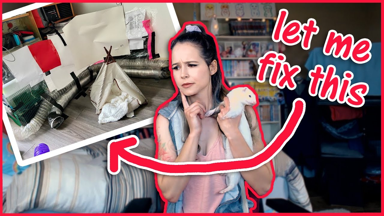 Helping my Subscribers Ferret Proof (Ferret Proofing 101)