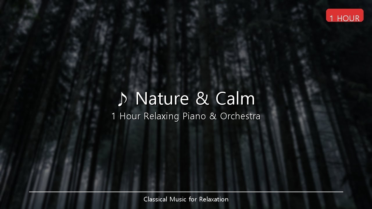 Nature & Calm | 1 Hour Classical Music - Beethoven