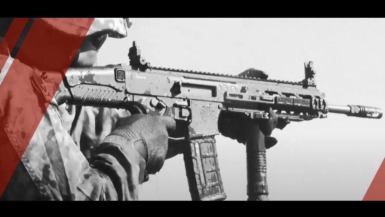 【陸上自衛隊】20式小銃のフルオート射撃 | Howa Type 20 assault rifle Over the Beach Test