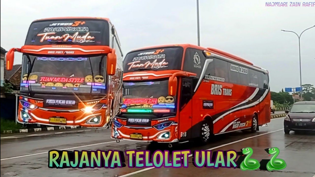 Telolet viral Bris Trans Tuan Muda Style