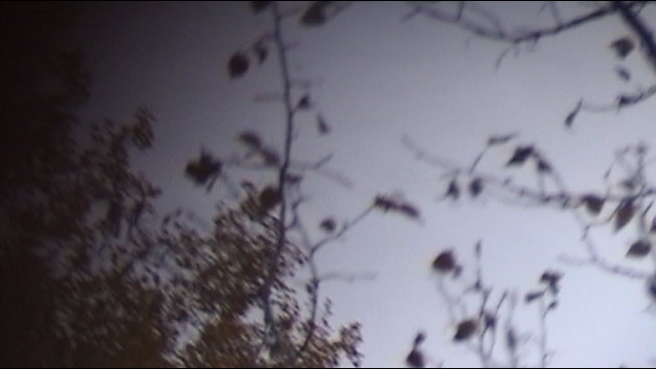 Sea Oleena ~ Weaving a Basket (Full Album Video)