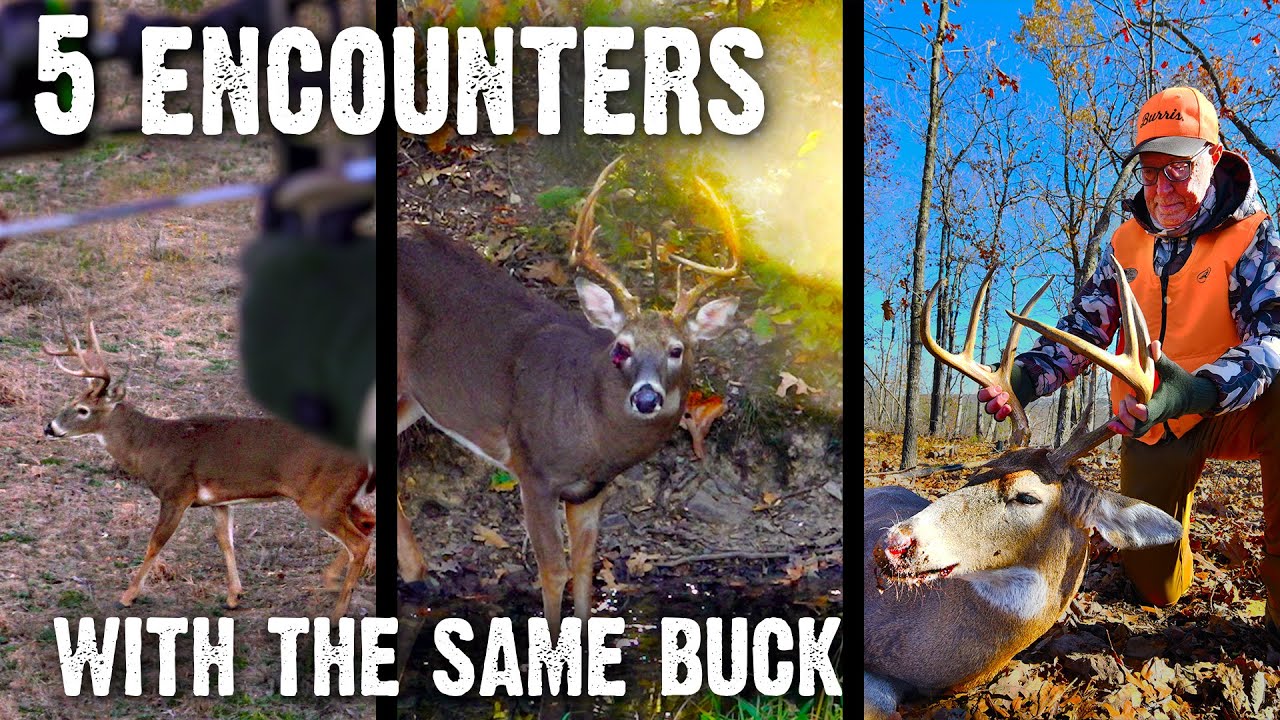 Lessons from Chasing and Harvesting a Mature Buck (846)