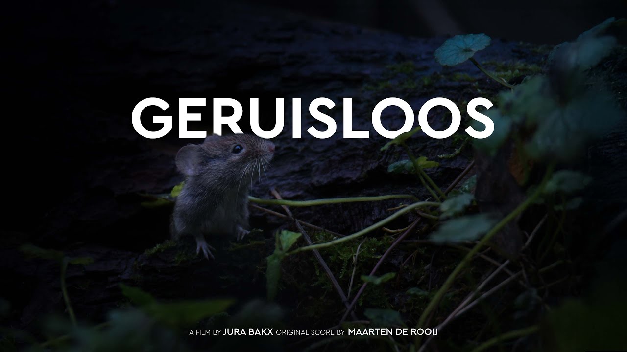 Geruisloos - Noiseless