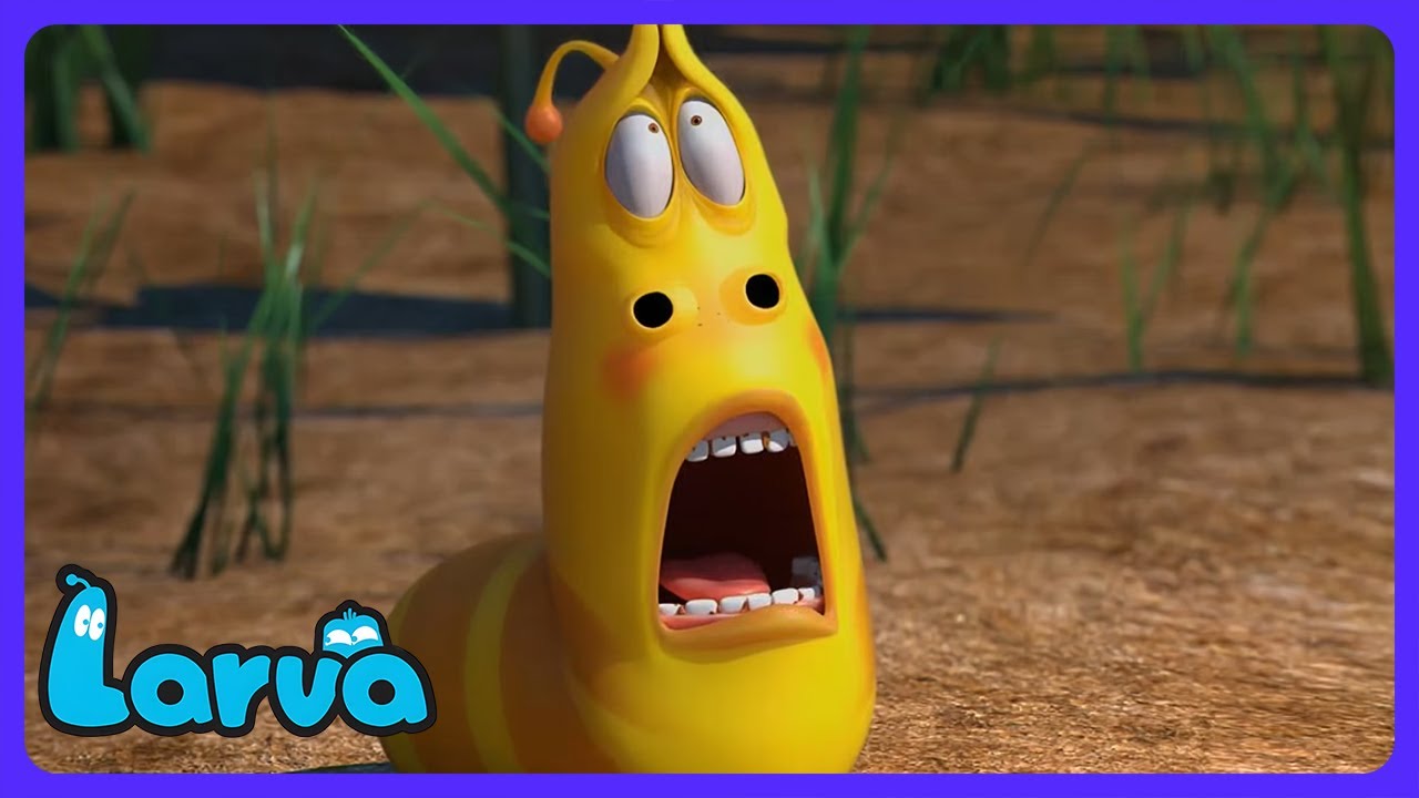 Larva - ¿Quién robó la salchicha? | Dibujos Infantiles | WildBrain Arena de Acción - Castellano