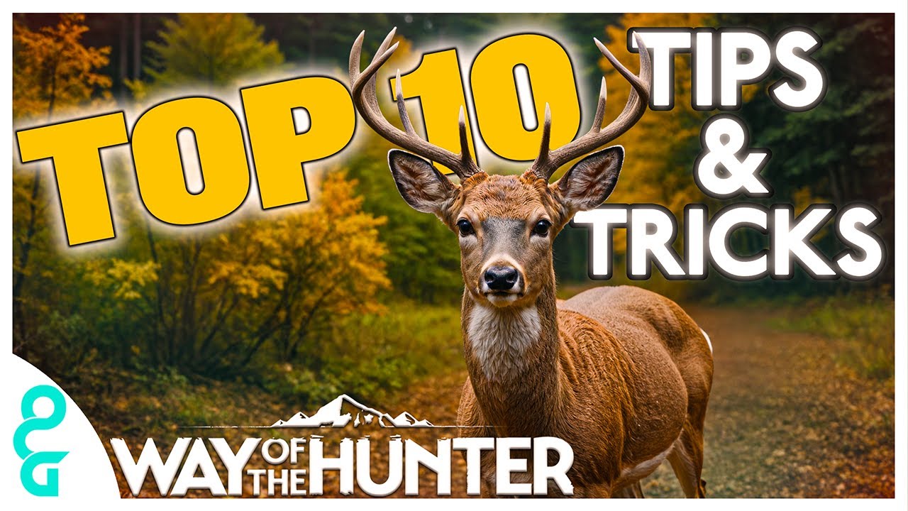 Top 10 Tips & Tricks In Way of the Hunter
