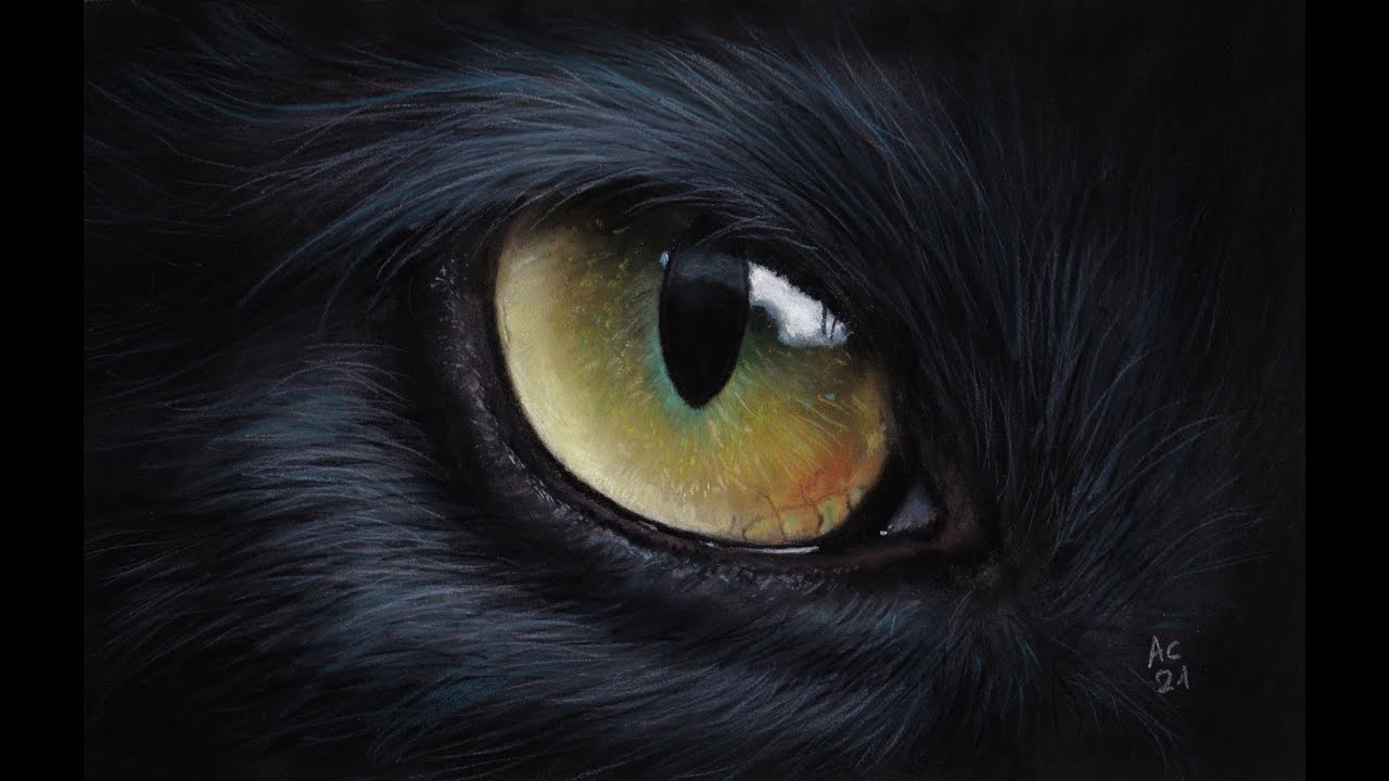 Pastellzeichnung - schwarzes Katzenauge - Black Cat Eye - realtime