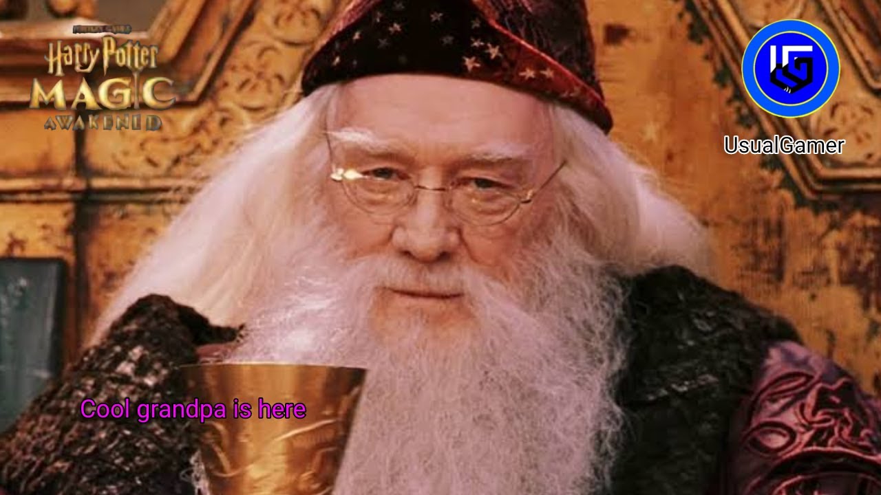 Let's test Dumbledore | Harry Potter Magic Awakened
