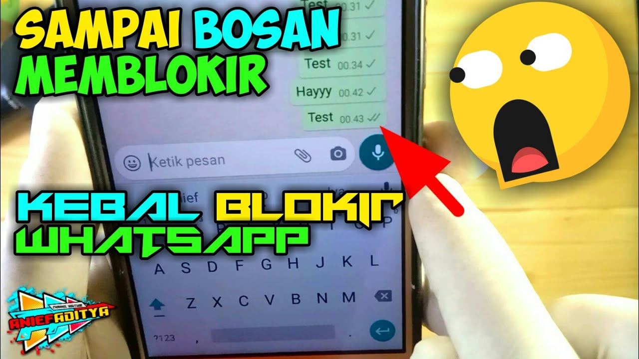 Cara Terlepas Dari Blokiran WhatsApp