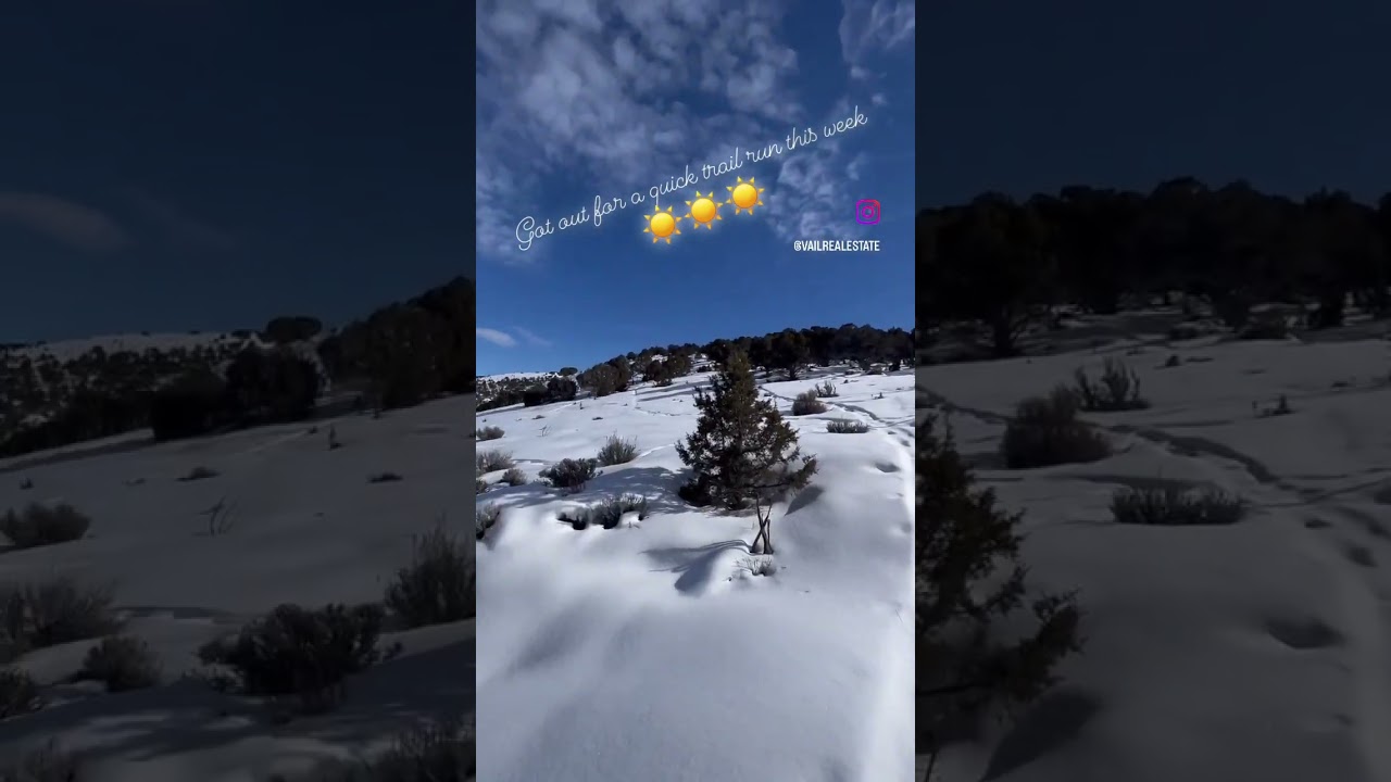 Morning Snowy Walks in Eagle, Colorado
