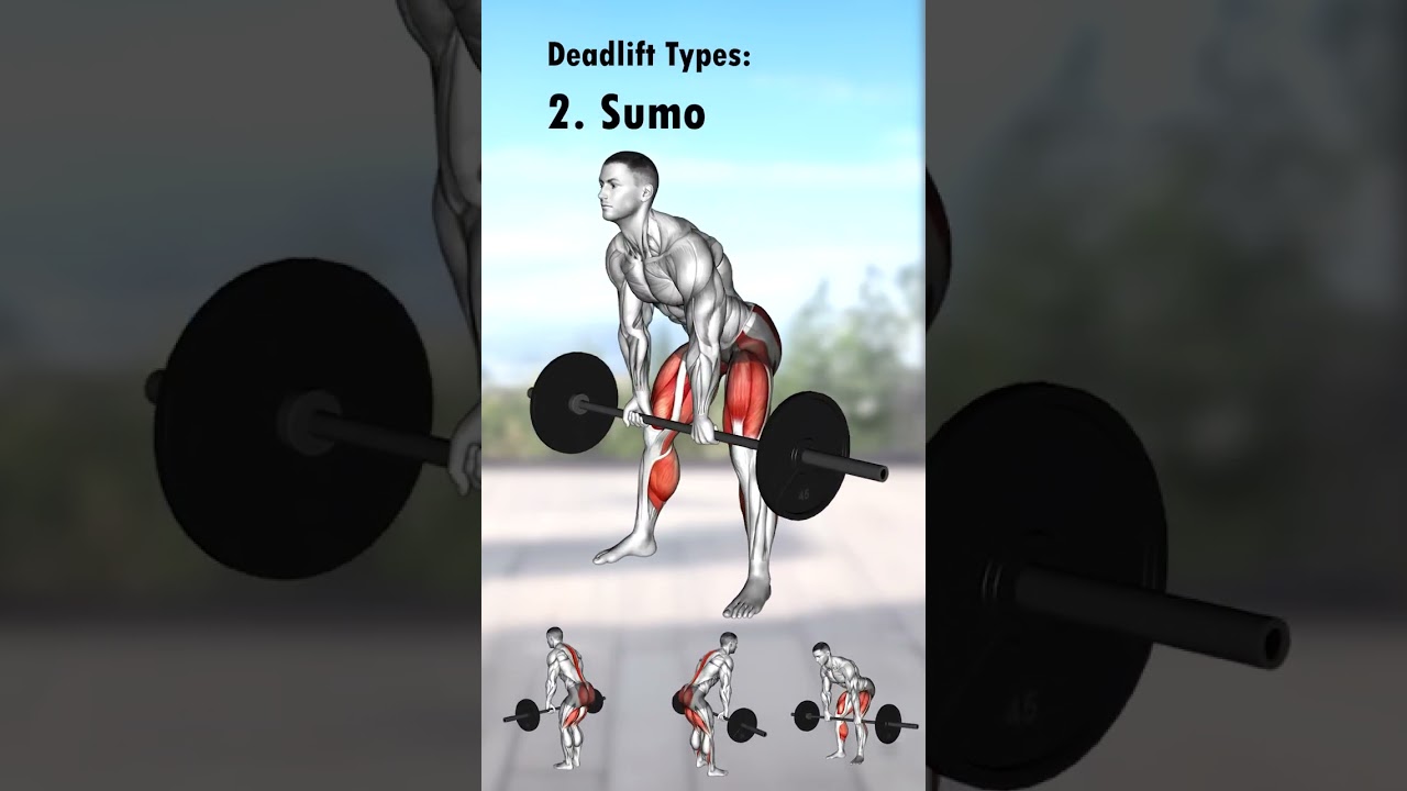 Deadlift Types, Which Is Your Favourite?