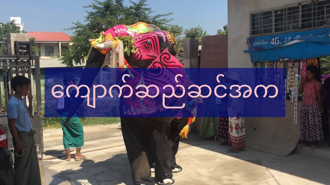 ကျောက်ဆည်ဆင်အက 🐘