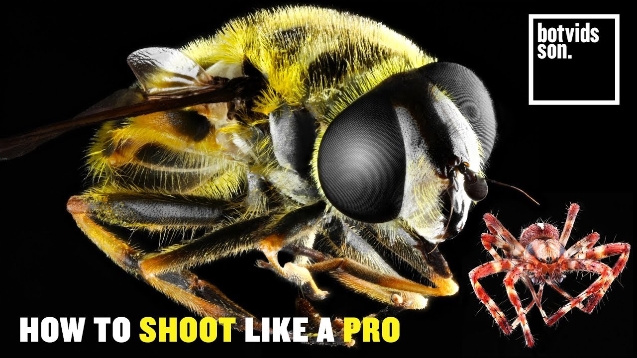CRAZY Macro Photography | Focus Stacking With Motorized Rhino Slider