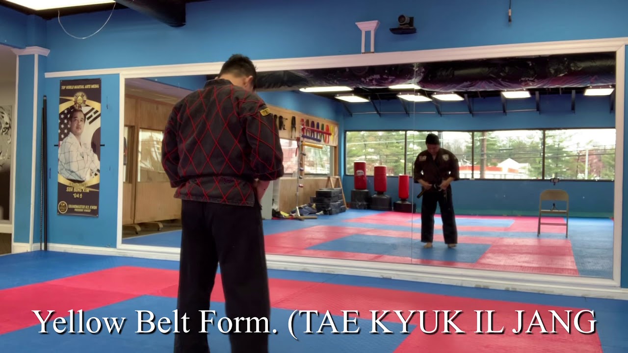 Yellow belt form ( TAE KYUK IL JANG)