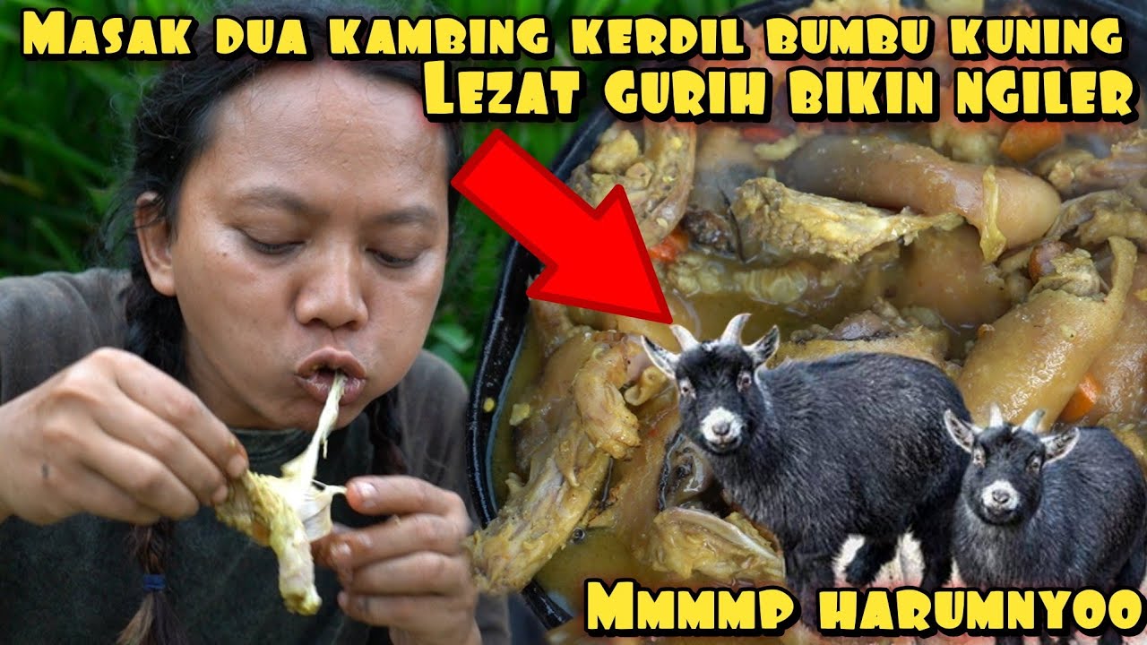 MASAK DUA EKOR KAMBING KOLONG BUMBU KUNING SEHARGA RUMAH MEWAH