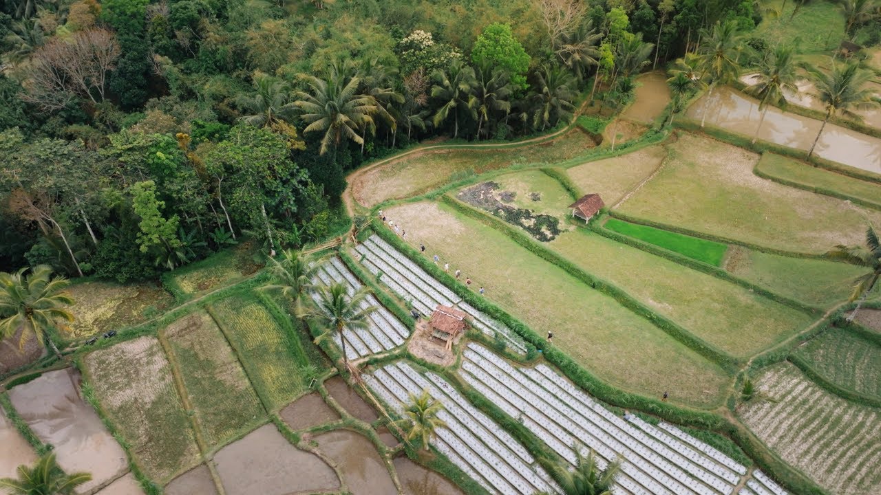 Groepsreis Bali, Gili & Lombok: Avontuur in Indonesi&euml; voor Jongvolwassenen