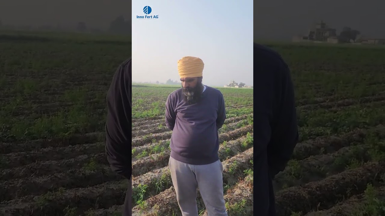 Testimonial on 🥔 Potato Crop- Seed to Harvest solution by Innofert AG - Plant Nutrition 