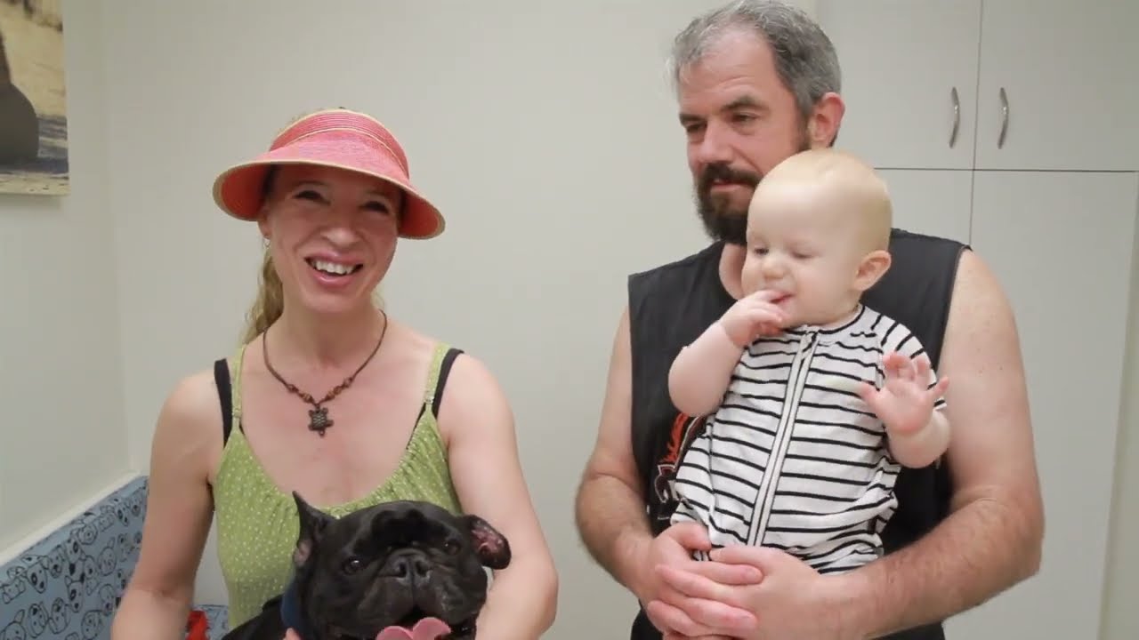 PIPER OUR FRENCH BULLDOG GETTING HIS STITCHES REMOVED FOLLOWING SURGERY FOR AURAL HAEMATOMA//
