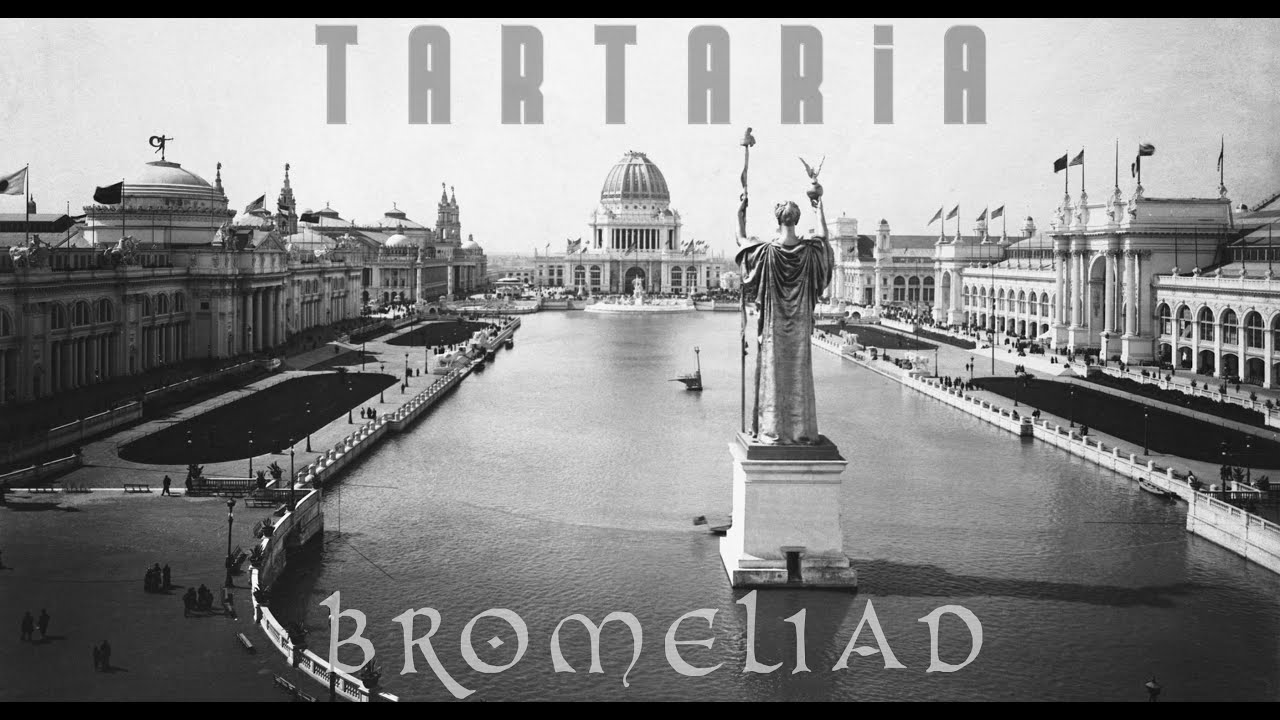 Bromeliad - 