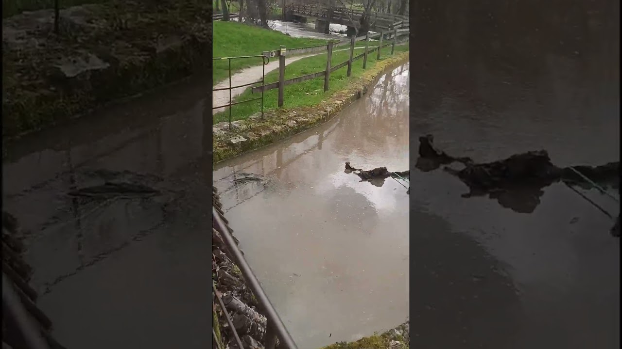  L autize.  Au Vignau a nieul sur l autise