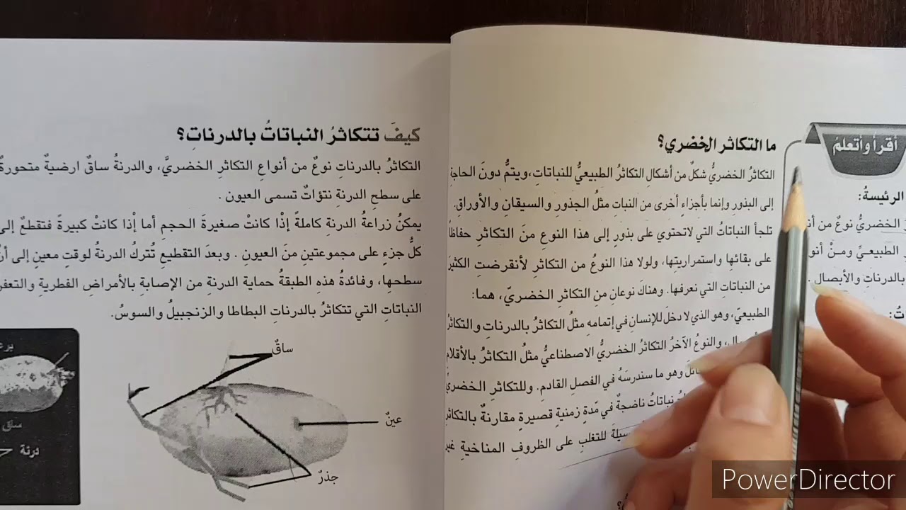 شرح علوم الفصل الاول كامل للصف السادس