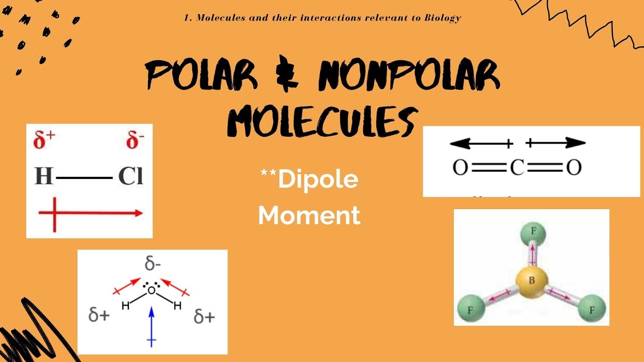 CSIR UGC NET Unit 1 Q & A | Chemical Bonds | Polar & Nonpolar Molecules | Easy Learning