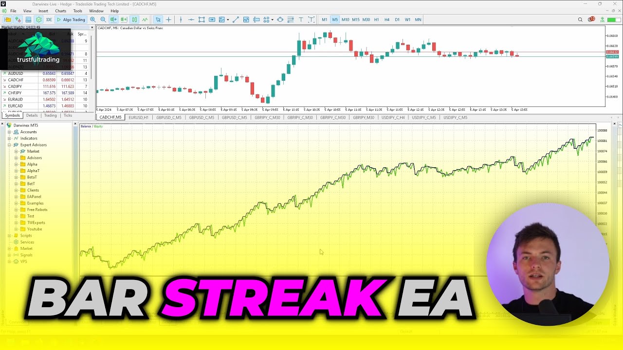 Coding a trading bot in MQL5 - StreakEA | Part 2
