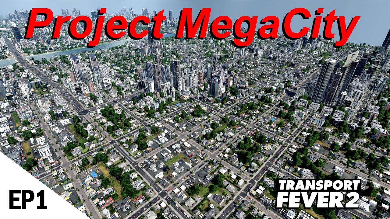 Project MegaCity - Nothing but Problems