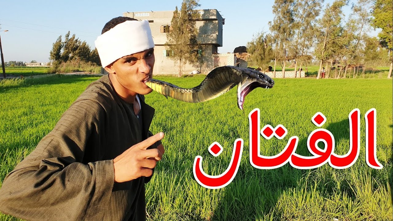 الفتان وقع اهل البلد فى بعض الفتنة اشد من القتل قصة حقيقية