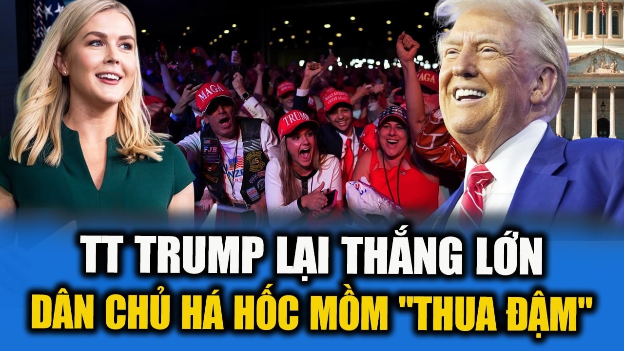 TT TRUMP LẠI THẮNG LỚN VƯỢT XA KỲ VỌNG KHIẾN DÂN CHỦ VÀ TRUYỀN THÔNG CỰC TẢ HÁ HỐC MỒM  | Tammy USA