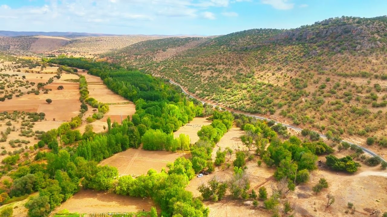 Mardin Bağlica Köyü Üzüm Bağlari