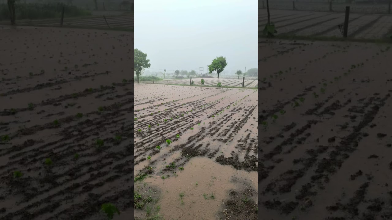 #lakhanka #gadhada#botad Rain