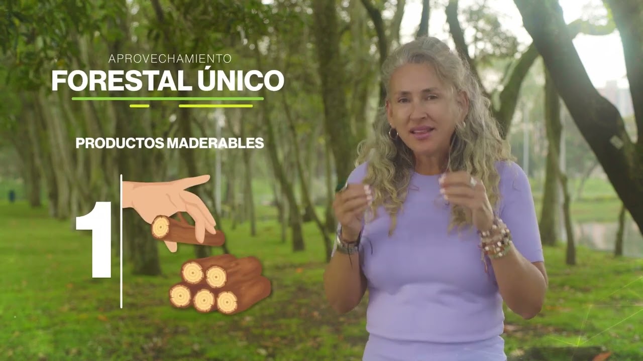 Tipos de aprovechamiento forestal