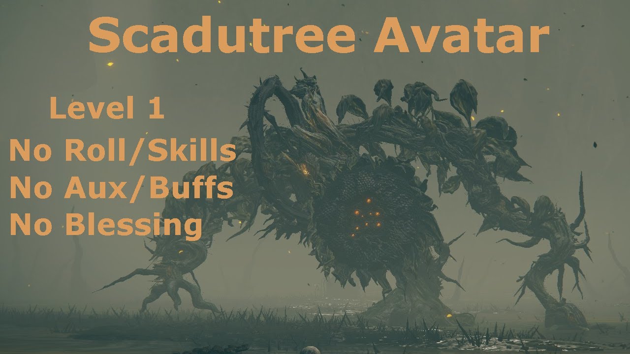 Scadutree Avatar RL1 No Roll/Block/Skills No Buffs/Aux/Blessing No Damage