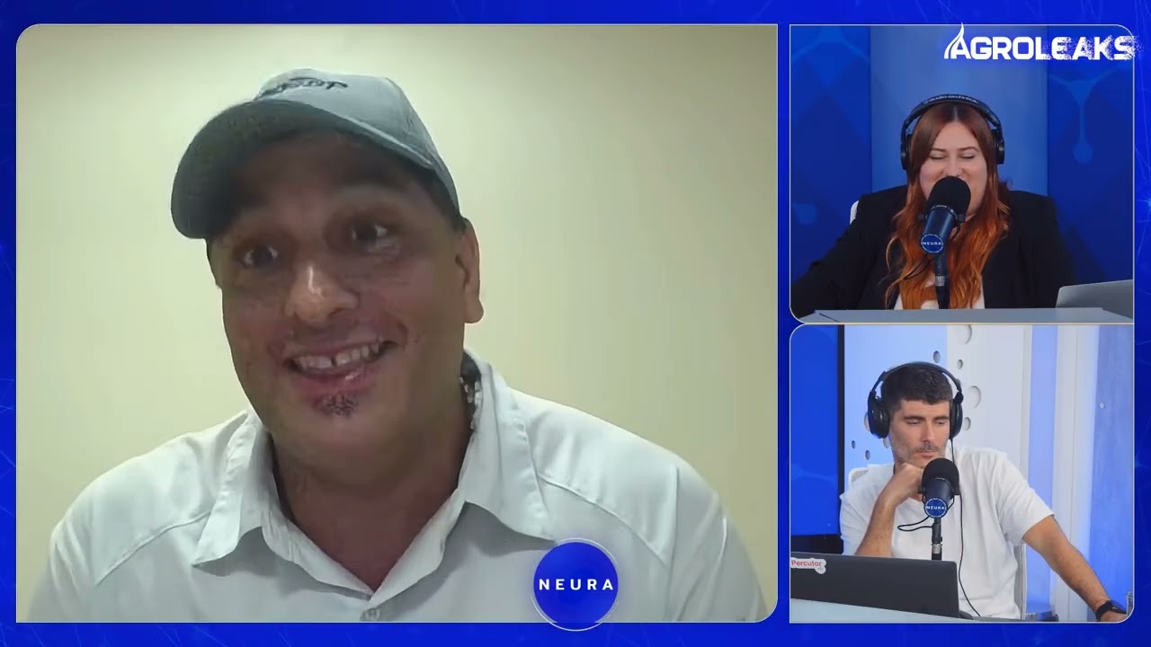 #Agroleaks | CHICHARRITA EN MAÍZ: alertan por caída de rindes y pérdidas productivas -Alejandro Vera