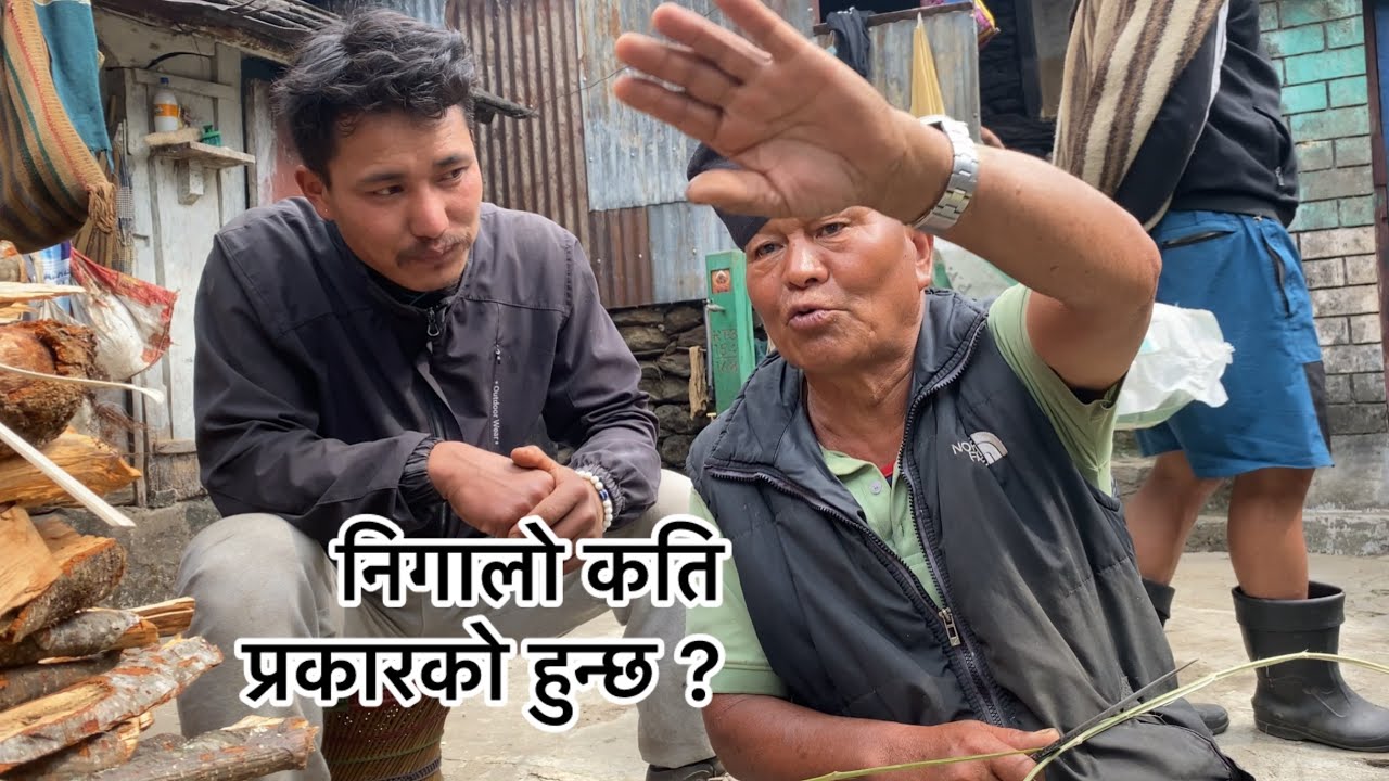 निगालो कति प्रकारको हुन्छ बुबाबाट सुनौ है || Bhujung village || Village life || 