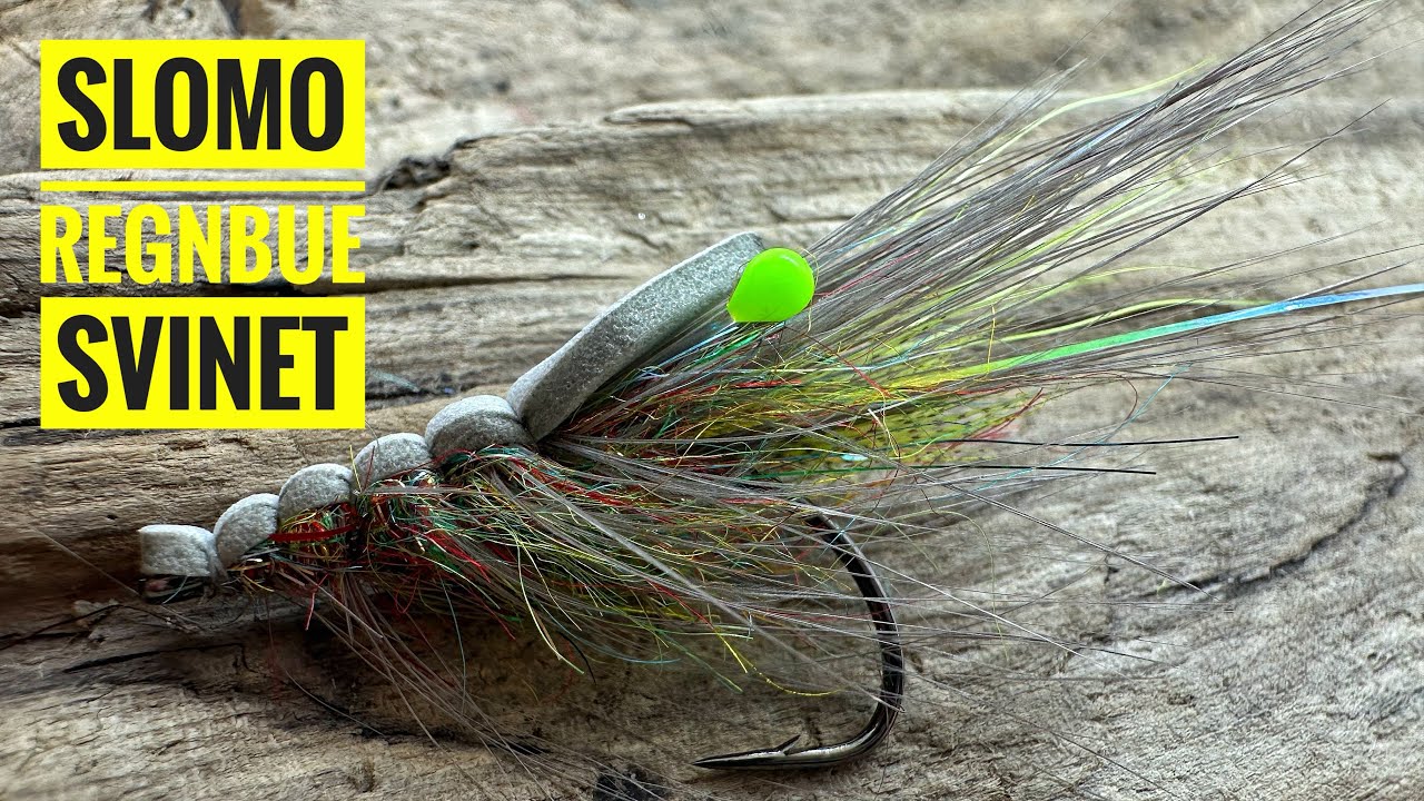 SloMo Regnbue Svinet - Worth trying? Definitely 💯👍🏻🎣