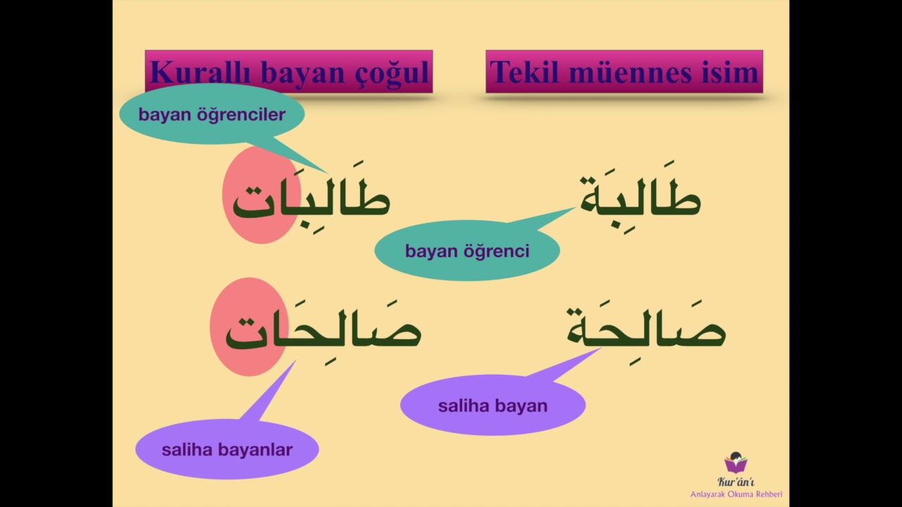 Kurallı bayan çoğul (ESKİ)