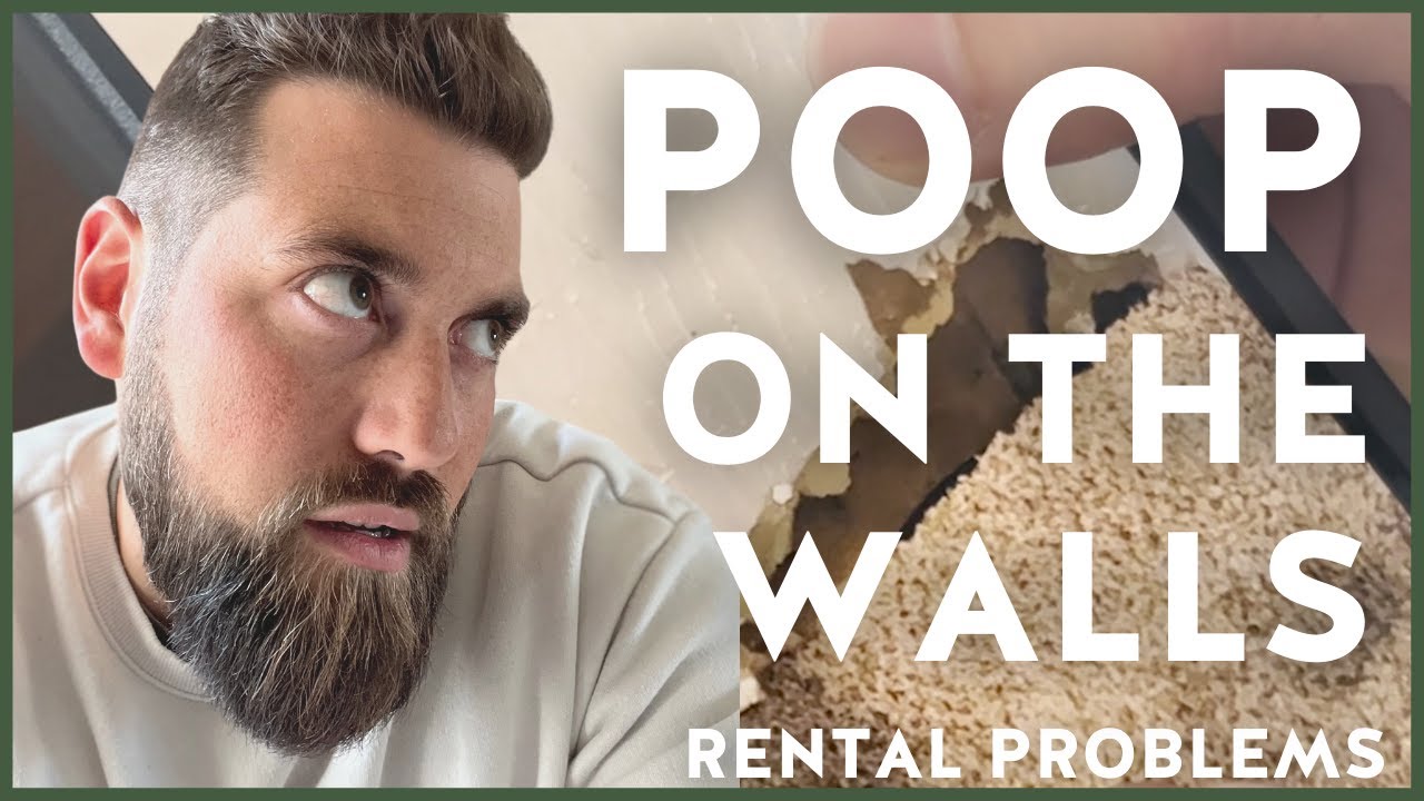 How to solve rental problems