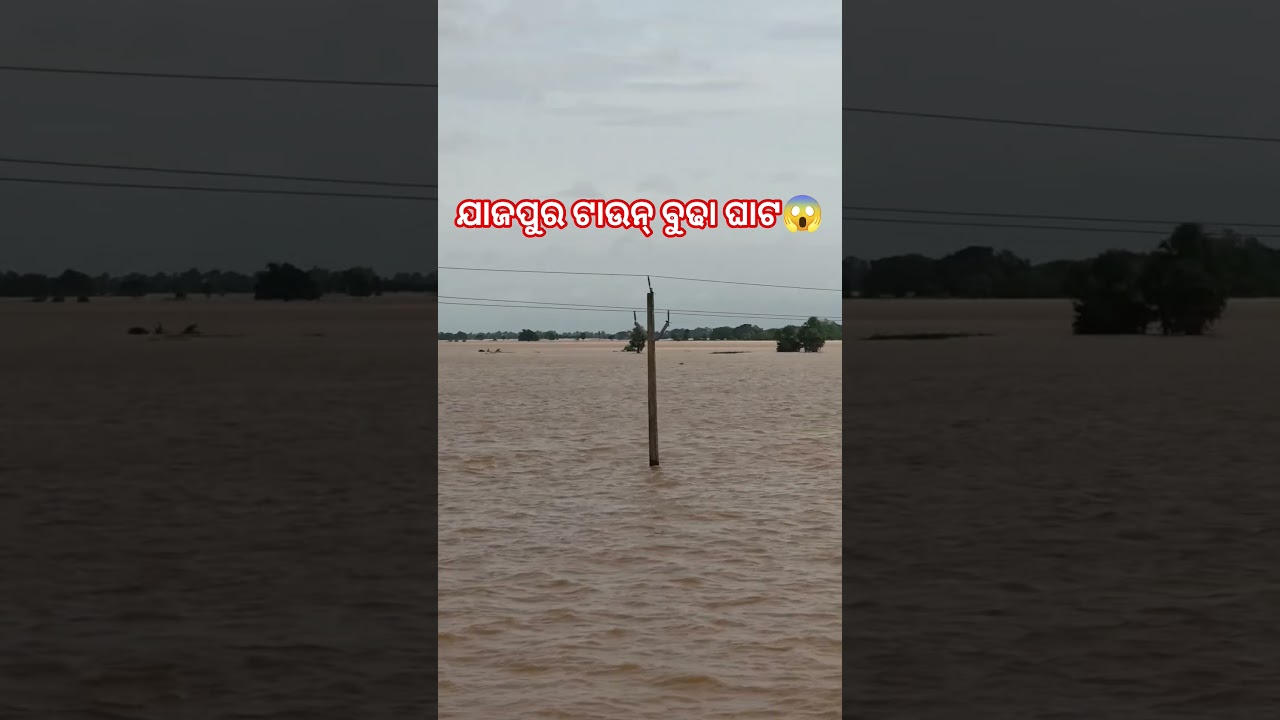 jajpur flood 😱 #jajpur #flood #jajpurnews #floods #odisha #odishanews