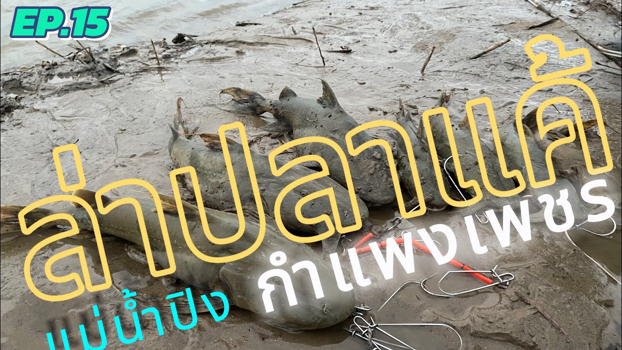 EP.15: ตกปลาแค้บุฟเฟ่แม่น้ำปิง 