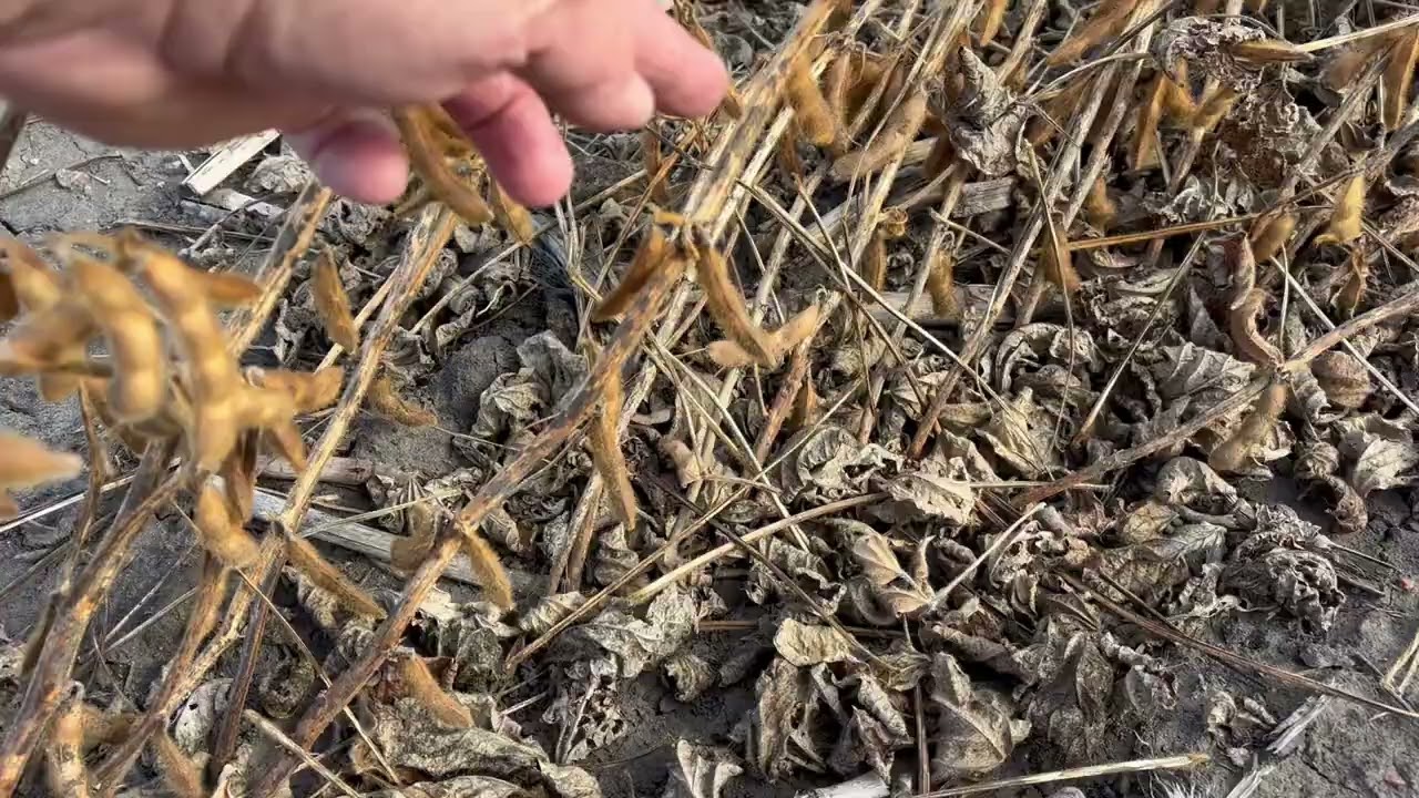 Portland ND final 2025 Obs! 