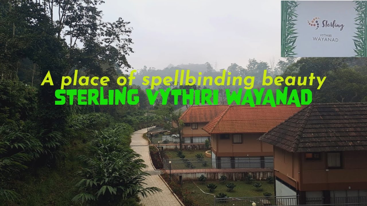 Sterling Vythiri |Resort Overview|#wayanad #vythiri #holiday | #punchtraveller | #beautiful #resort